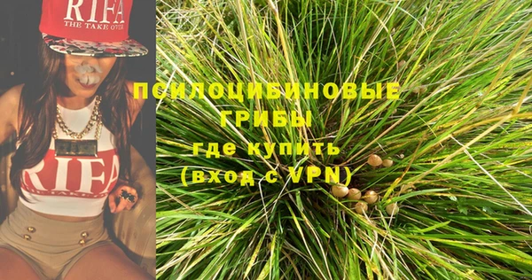 a pvp Богданович