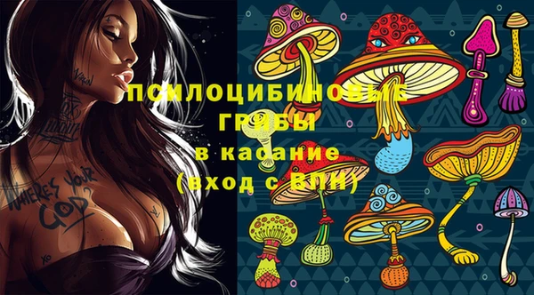 трава Сосновый Бор